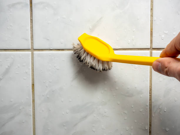 Best Mold Removal Near Me  in Pittsburg, TX