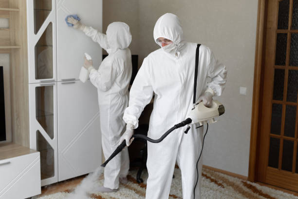 Professional Mold Removal in Pittsburg, TX